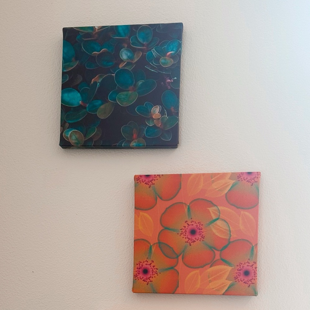 Boho Canvas Print Art Bundle